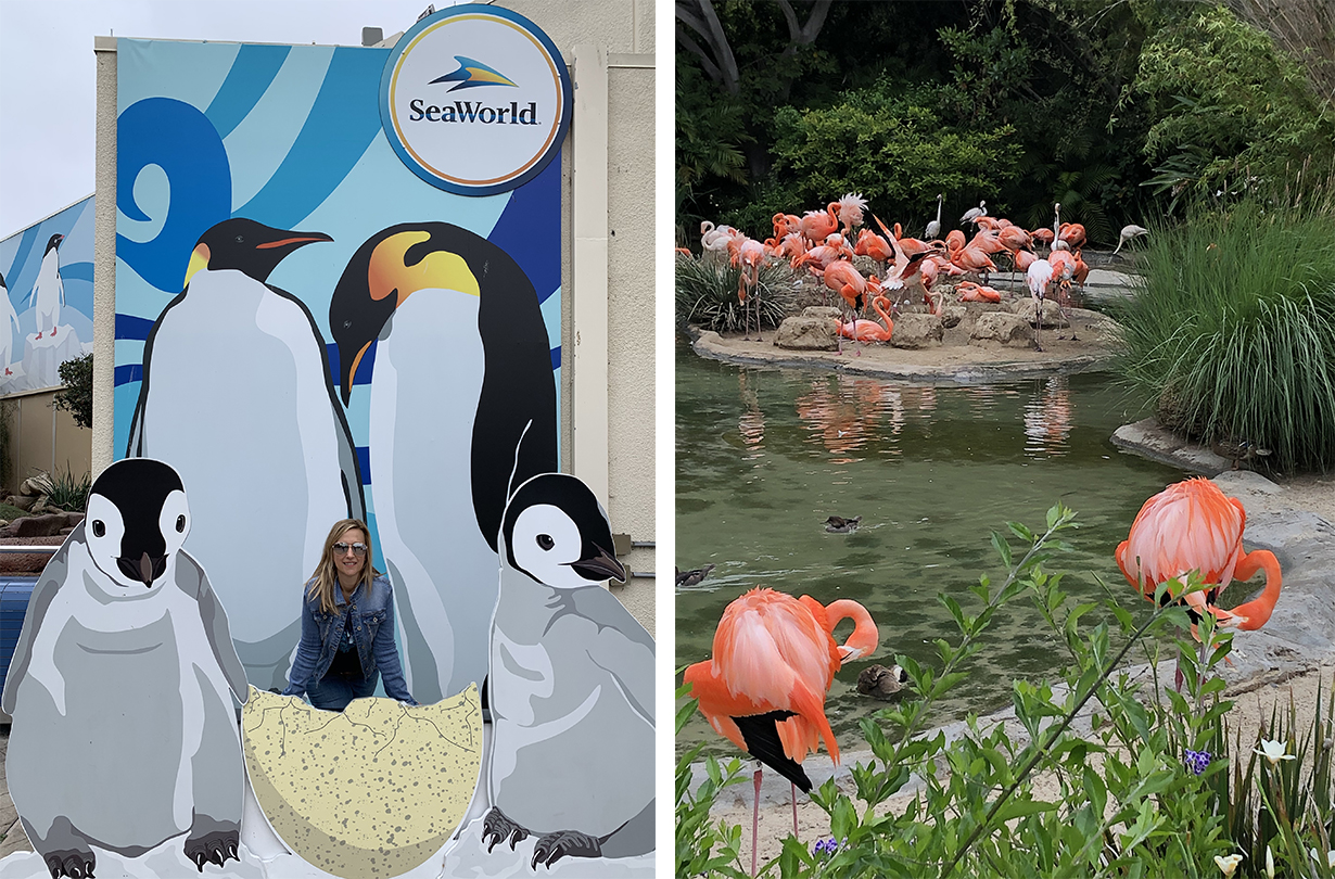 San Diego SeaWorld